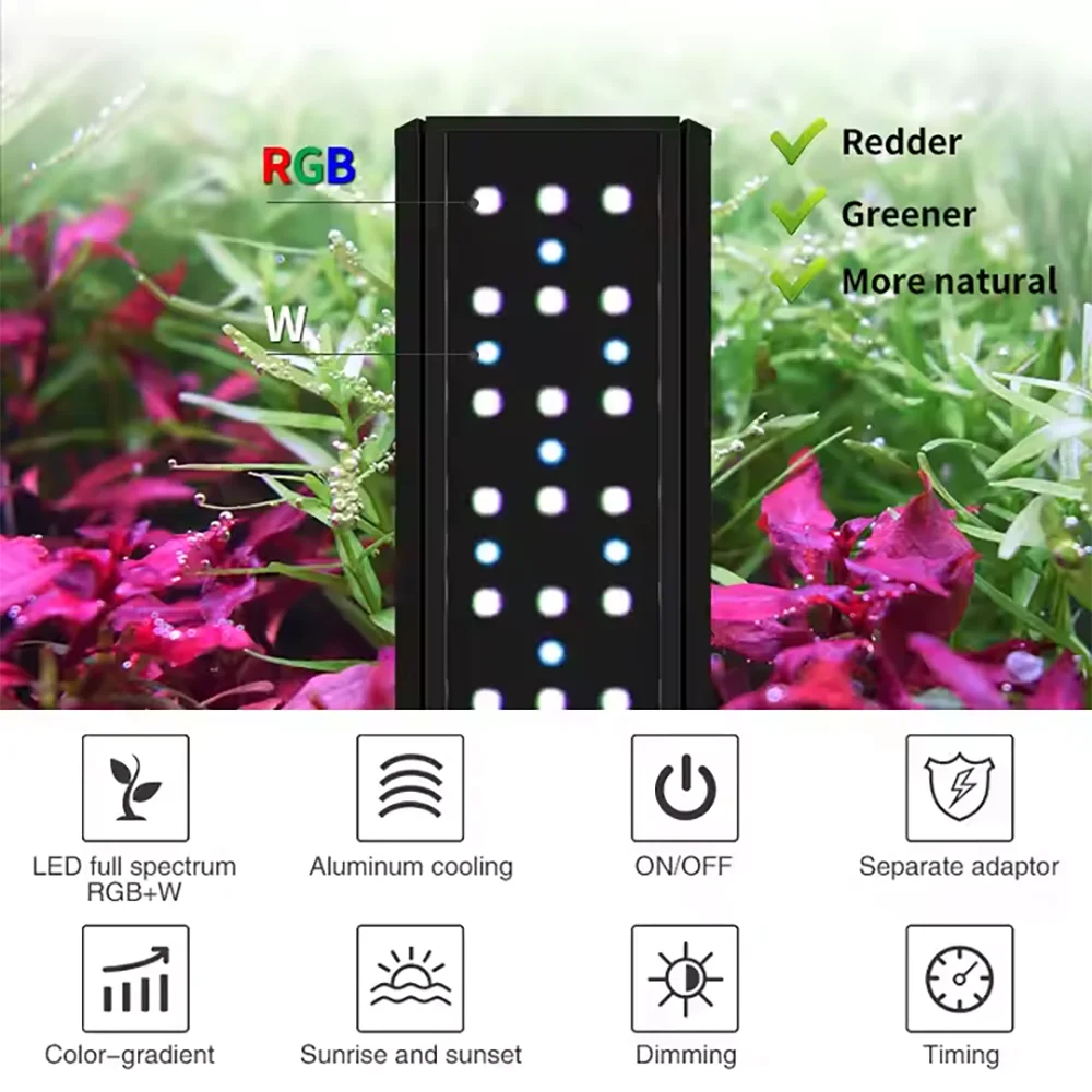 Освещение серии V SE-D для пре – обзор и цена Aquarium Fish Freshwater