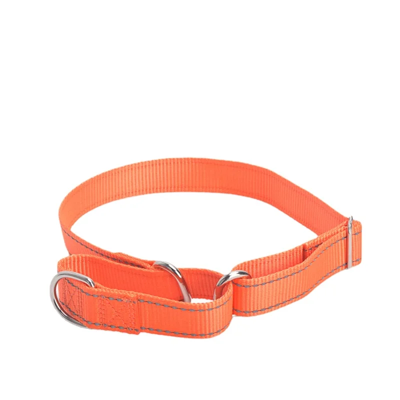 

Pet Collar Explosion-proof Dog Chain with Glowing Collar Medium and Large Dog Training Collar Pet Supplies