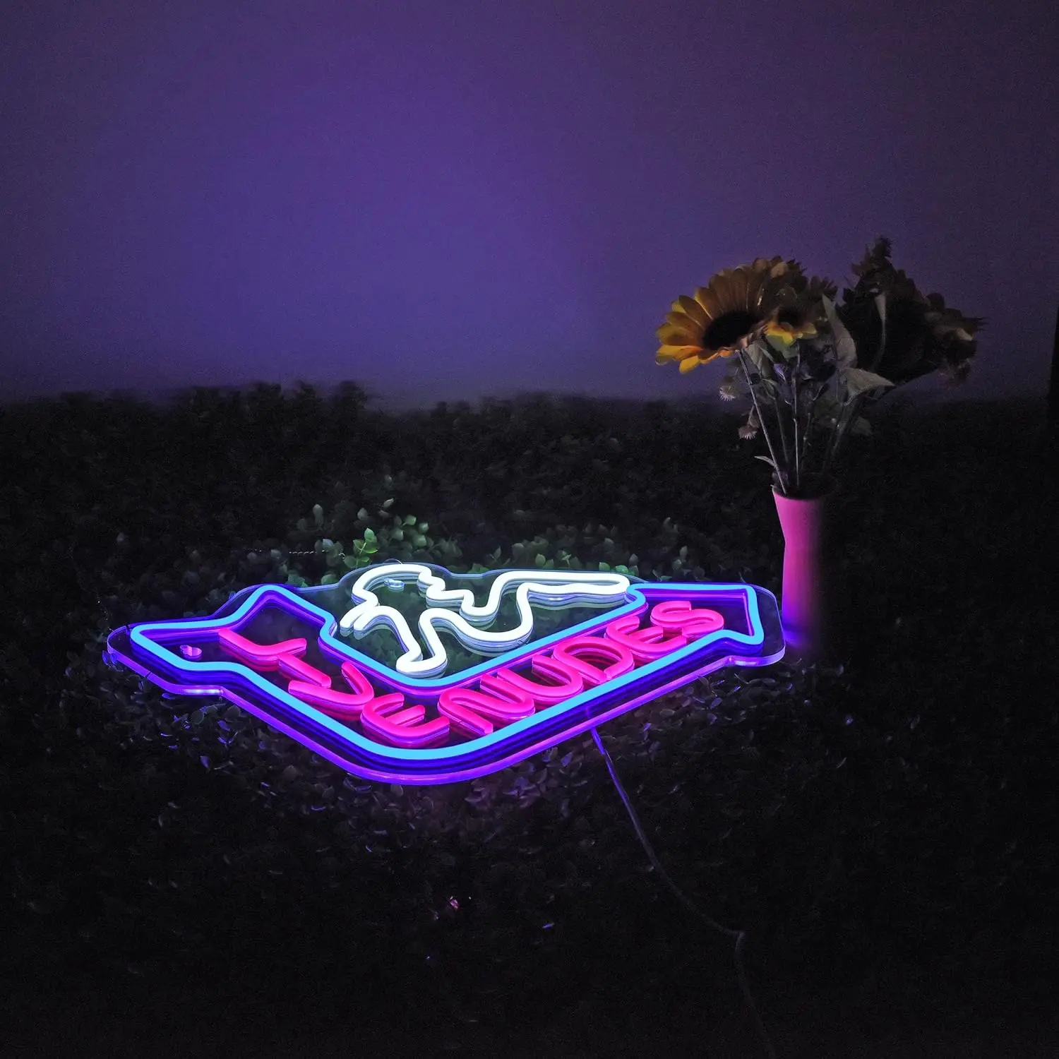 ضوء نيون ليد علامة كوتيلات وأحلام ، كف ، لافتة نيون لغرفة النوم ، غرفة ، بيرة ، كهف رجل ، بار ، حفلة ، ديكور منزلي ، عيد ميلاد ، هدية عيد الميلاد