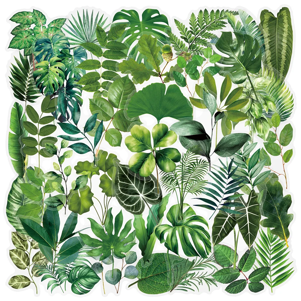 50 Stück transparente grüne Pflanzen-Aufkleber für DIY, wasserfest, für Sammelalbum, Schreibwaren, Reisegepäck, Wasserflasche, Telefon, Laptop
