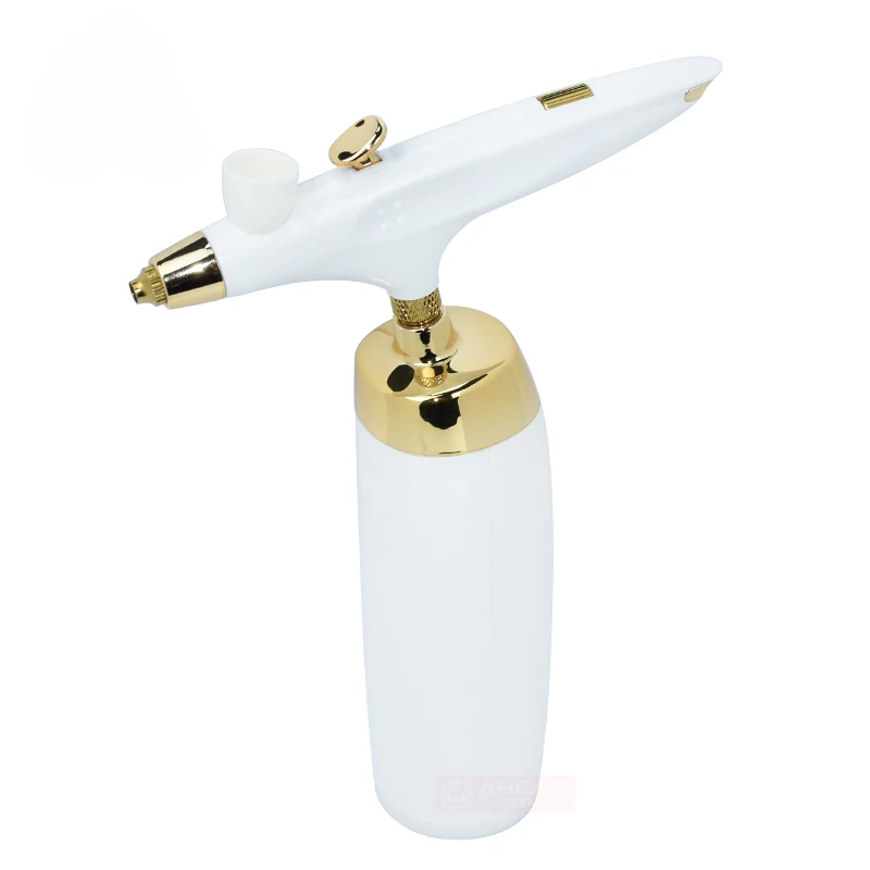 Home Use Skin Care and Beauty Salon OEM Mist Nano Facial Oxygen Injector Jet Gun Skin Nourishing Sprayer