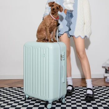 Cabin Password Trolley Case para Masculino e Feminino, Estilo Fresh Mala, Grande Capacidade Travel Bag, Bagagem de cabine, 20 