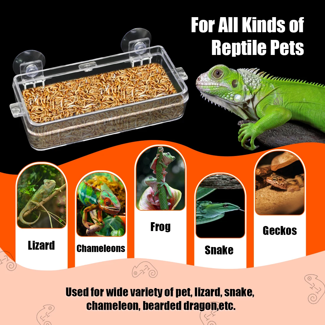Reptile Feeding Bowl 4