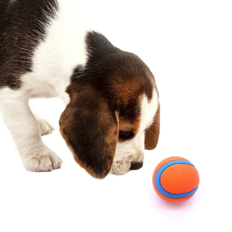 Dog Toy Ball Toy Pet Bouncy Ball Dog Ball Solid Bouncy Puppy Toy