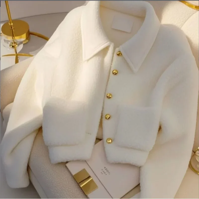 Lambwool Coat Women's New Integrated Thickened Warm High-end Jacket Top