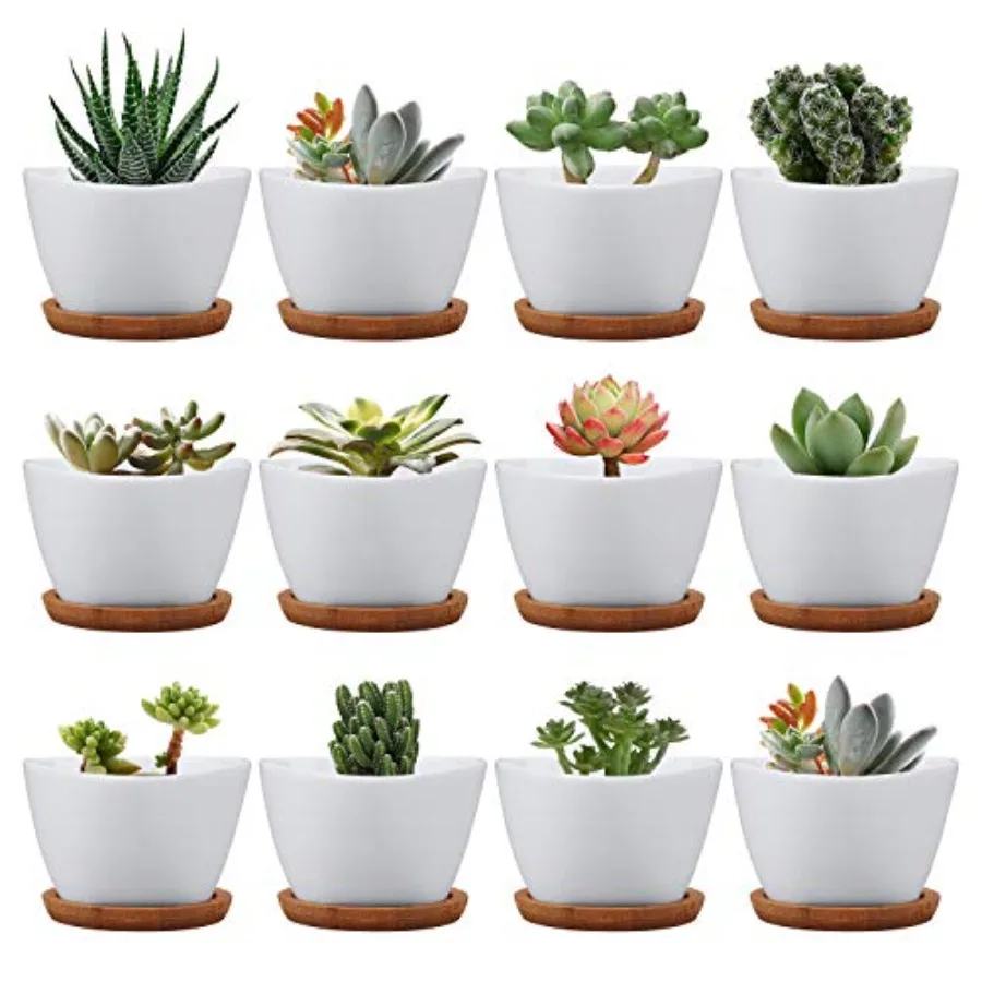 

Succluent Pots Small Flower Pots Planter Pots with DrinageCeramic Flowers Pots with Bamboo Tray for Cactus 12 Pack