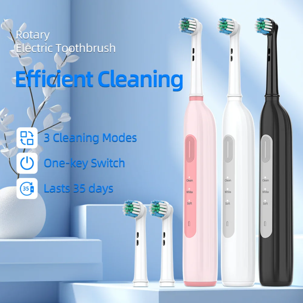 BX11 Rotating Electric Toothbrush Plaque Removal 3 Cleaning Modes Smart Timer USB Rechargeable Waterproof Travel Home Oral Care