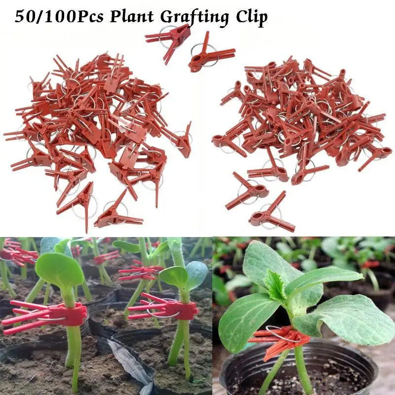 50/100Pcs Plant Grafting Clips Plastic Spring Support Clamp Reusable Fixing Clip For Vegetable Seedling Garden Cultivation