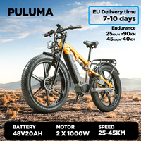 PULUMA PH003 Electric Bike 3000W Peak Power Motor 48V 20AH Lithium Battery E-bike 26*4.0 Inch Fat Tire Off-Road Electric Bicycle