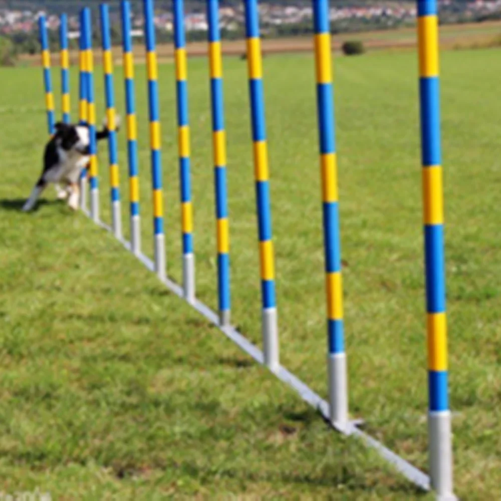 Dog Agility Equipment Fci International Competition Grade Pet Dog Eight Around The Rod Can Change The Track Spacing Sun Moisture