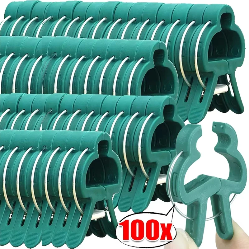 10/100 pièces Pinces de fixation réutilisables pour plantes, supports de serre de jardin, pinces de soutien pour plantes grimpantes, attaches pour fleurs et tomates