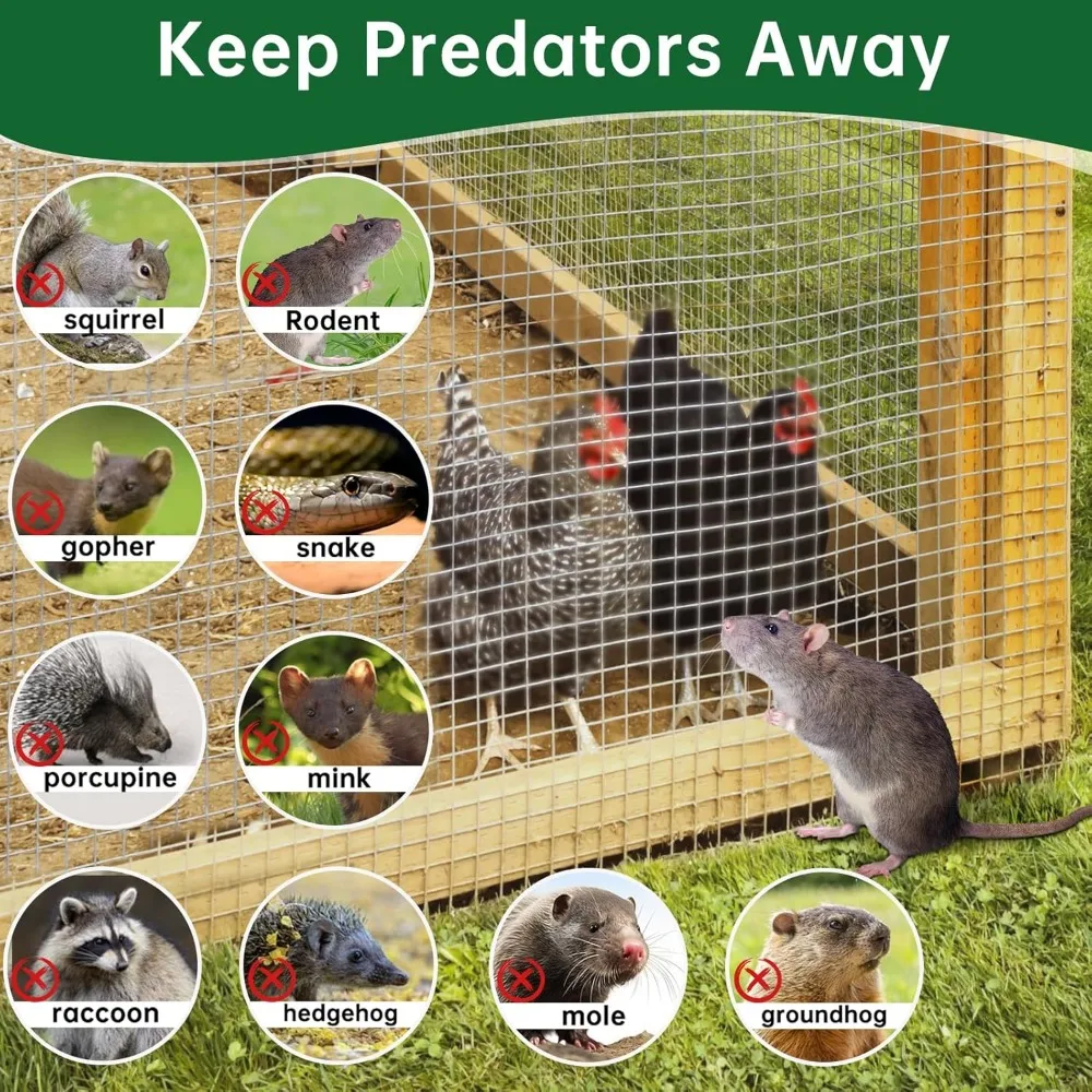 لفة شبكية سلكية ملحومة مجلفنة 1/2 بوصة - 48 بوصة × 50 قدم لسياج الحديقة وحظيرة الدجاج ومكافحة الآفات #4