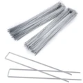 12in 50pcs