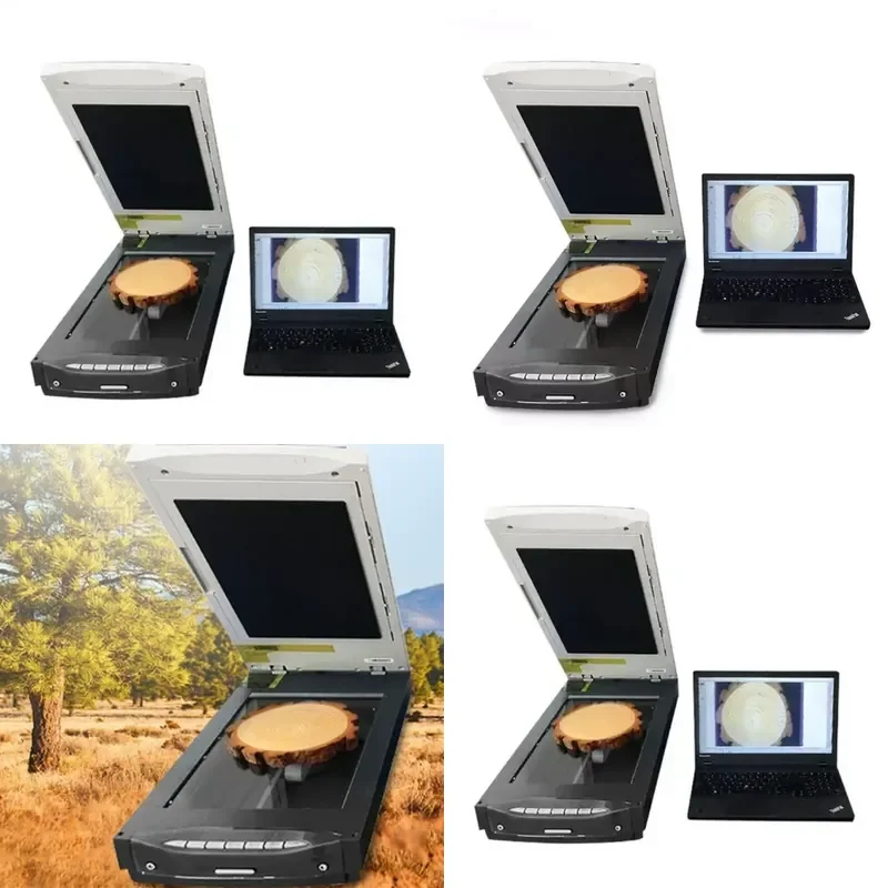 for Plant Ring Measurement Analyzer Tree and Plant Growth Image System Wood Ring Analysis and Measurement Instrument