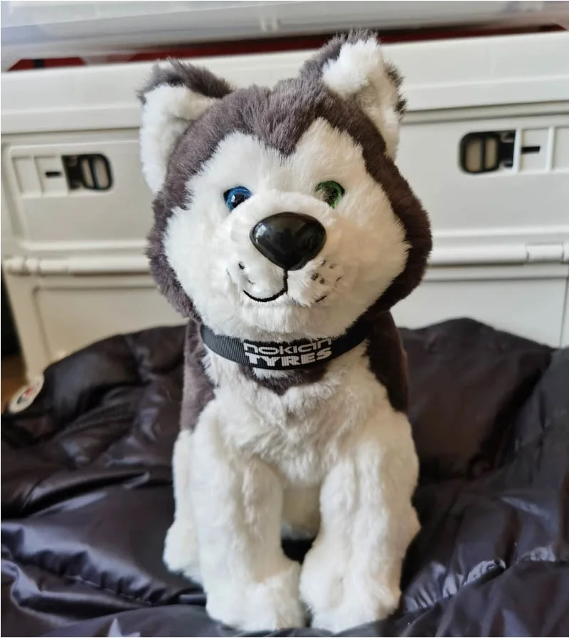 Lifelike Husky Dog Heterochromia Eyes Puppy Animal Soft Stuffed Doll Plush Toy Girl Boy Birthday Christmas Gift 1pc