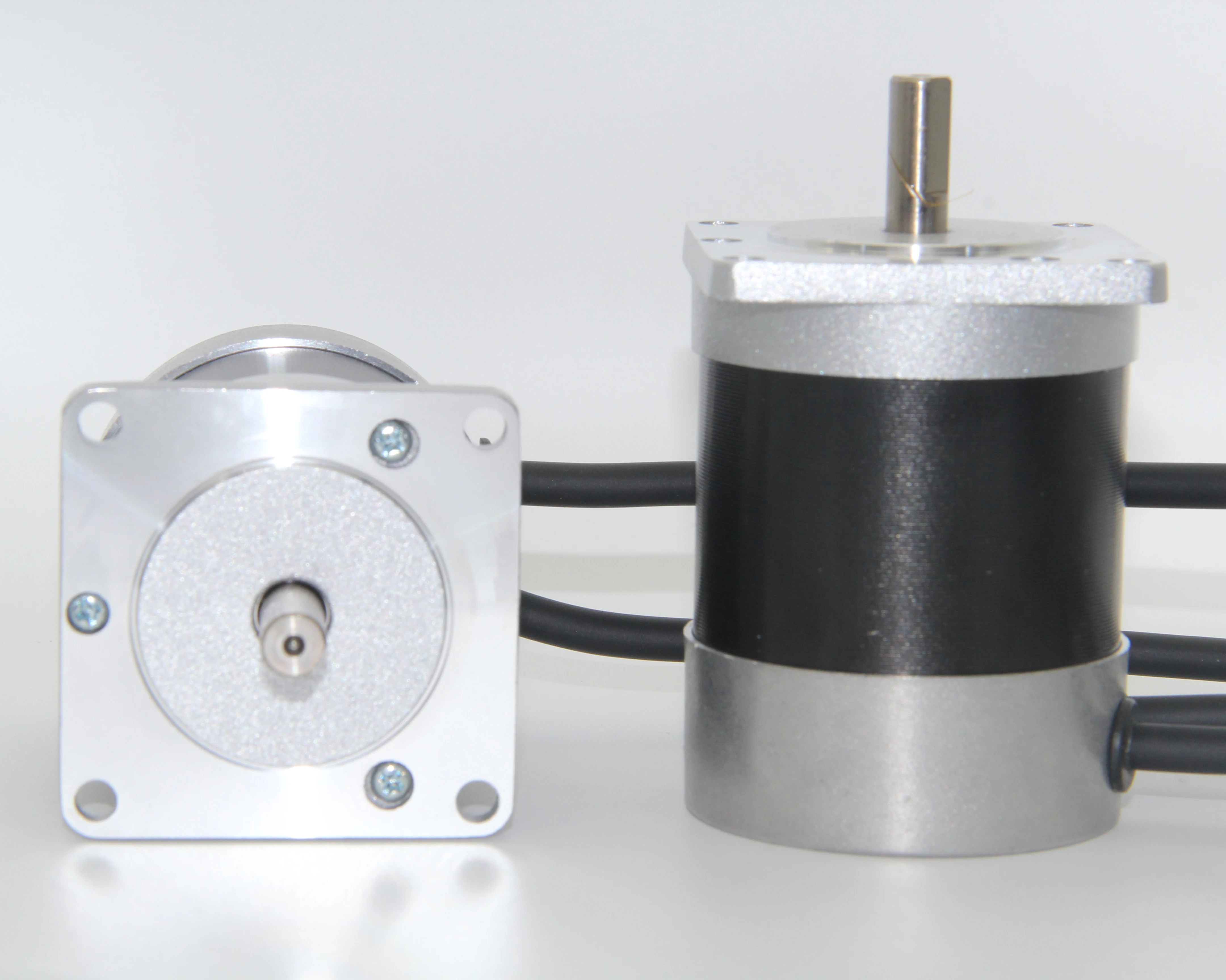 24VDC/48VDC 3000 RPM Alto Torque 100W BLDC