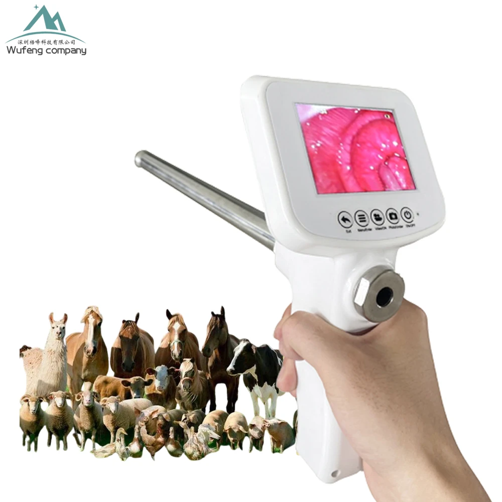 

Vet Clinic Equipment High Accurate Pregnancy Rate Cattle Cow Pig Dog Horse Digital Ai Visible Artificial Insemination Gun Tool