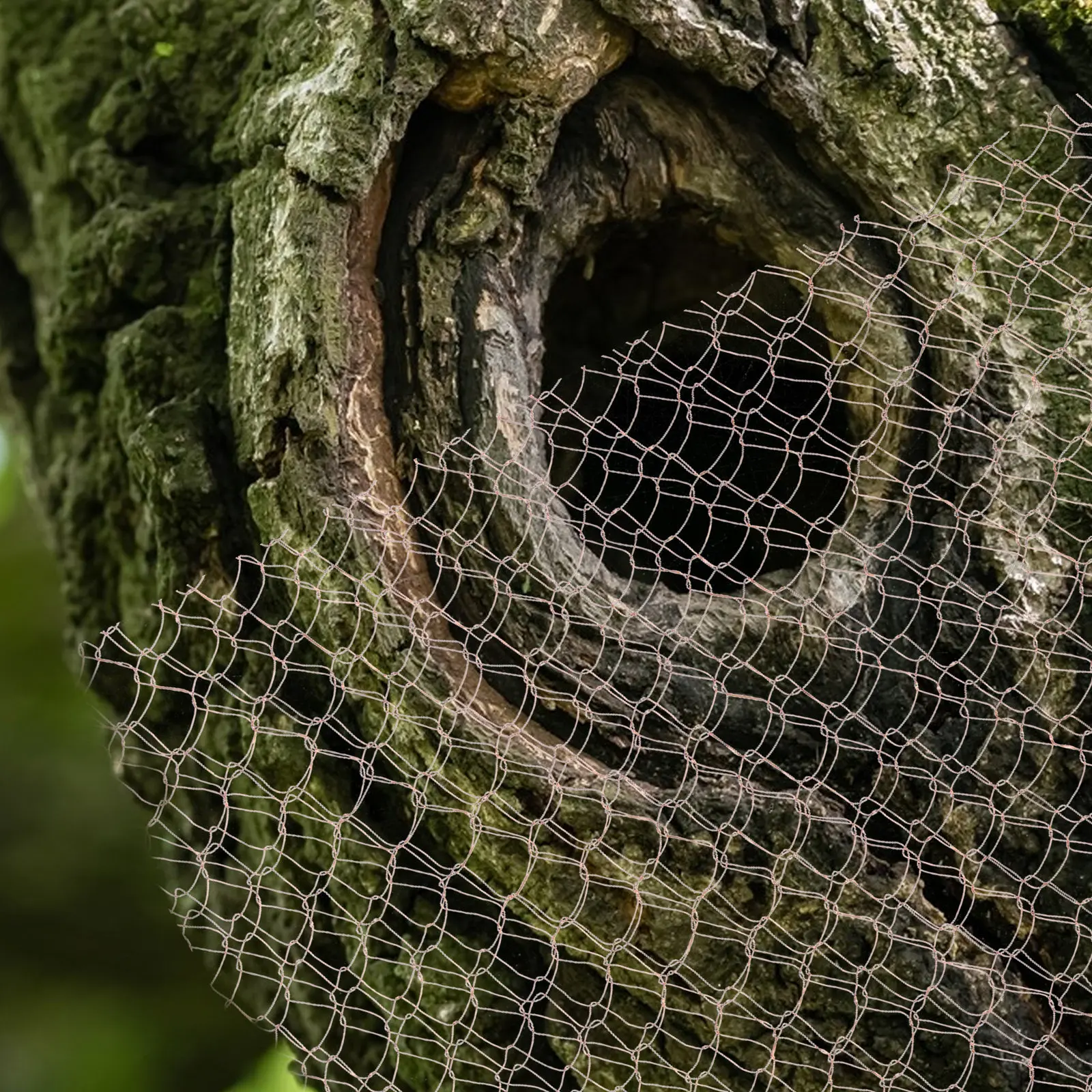 Copper Mesh Netting for Outdoor Garden Farm Greenhouse Pond Flower Protection Breathable Light Permeable DIY Hole