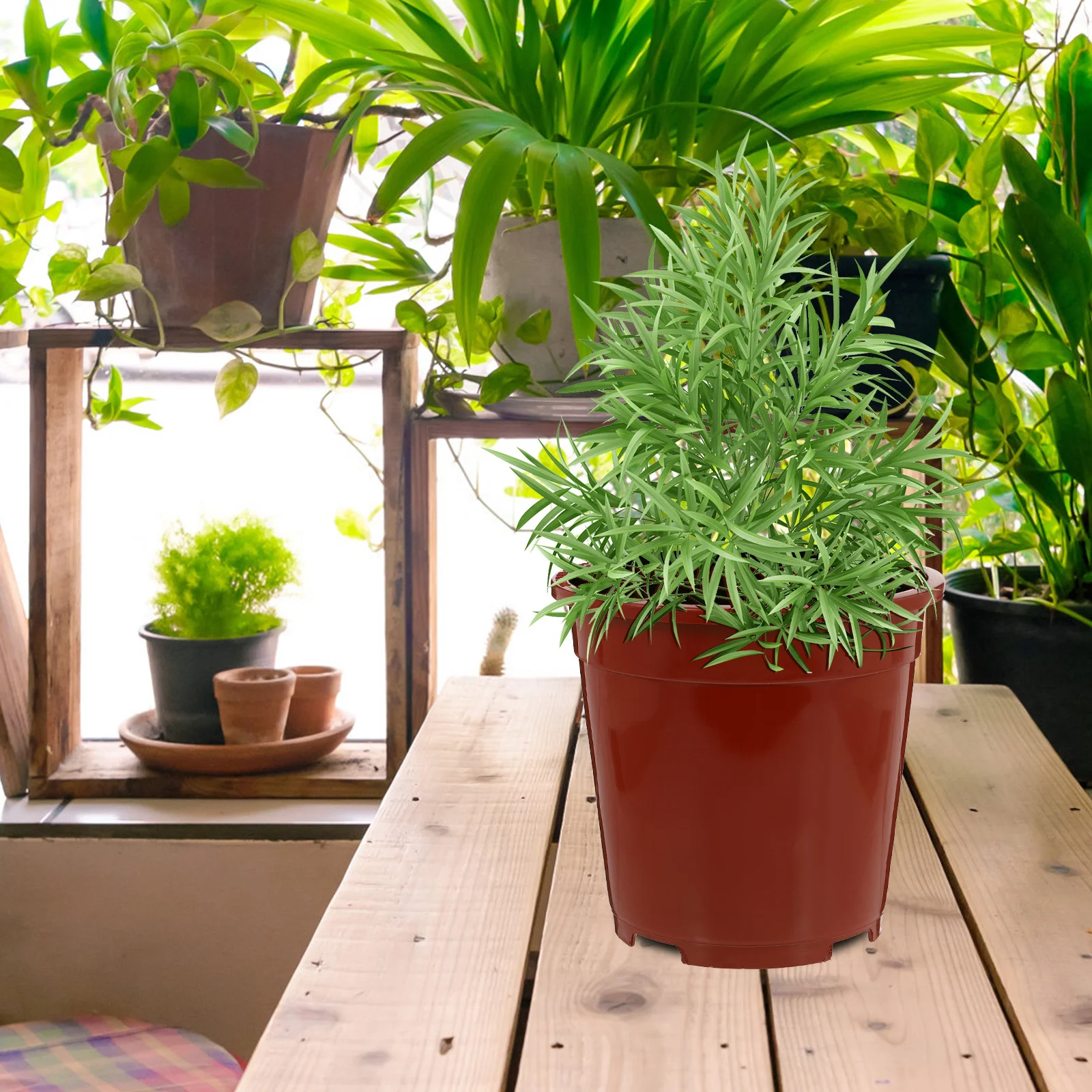 

15Pcs Plastic Plant Containers Sturdy Durable Resin Planters Simple Style Design Match Many Plants Gardening Plastic Flower Pot