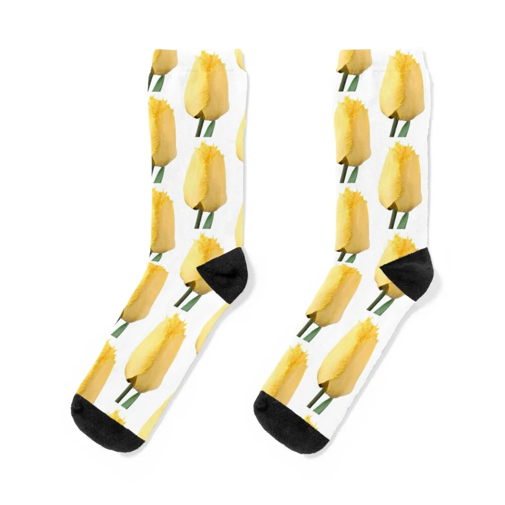 

Tulipa 'Crystal Star' Fringed Tulip Socks professional running hockey sports and leisure retro Socks For Men Women's