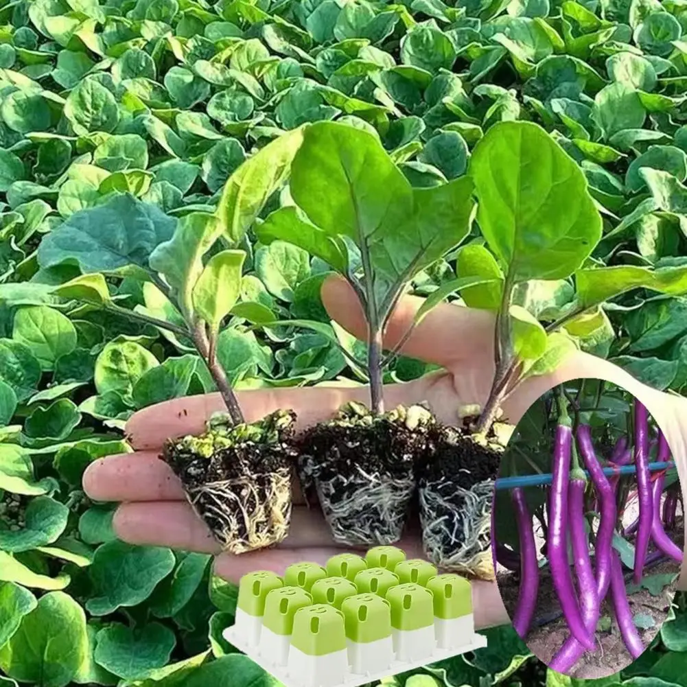 Silicone Seedlings Tray Reusable Seeds Starter Tray 5pcs Silicone Starter Trays with 12 Cells Reusable Seedlings Propagation