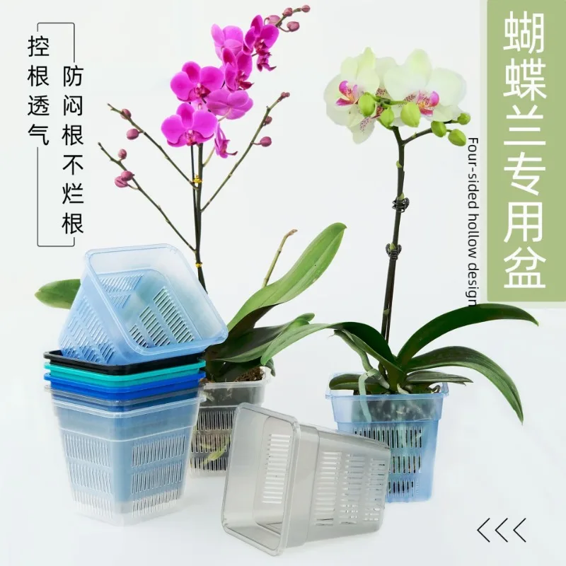 Moss Flower Pot Square Orchid Root Control Pot Transparent and Breathable Plastic Hollow Out