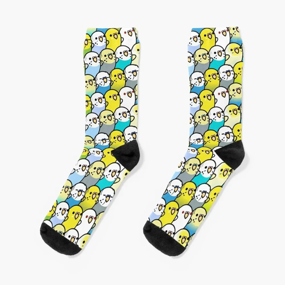 

Bunches of Budgies Socks tennis fashionable cycling Socks For Girls Men's