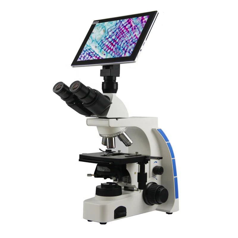 

40X-1000X Bright Field Blood Smear Inspection LCD Biological LCD Digital Microscope with Screen