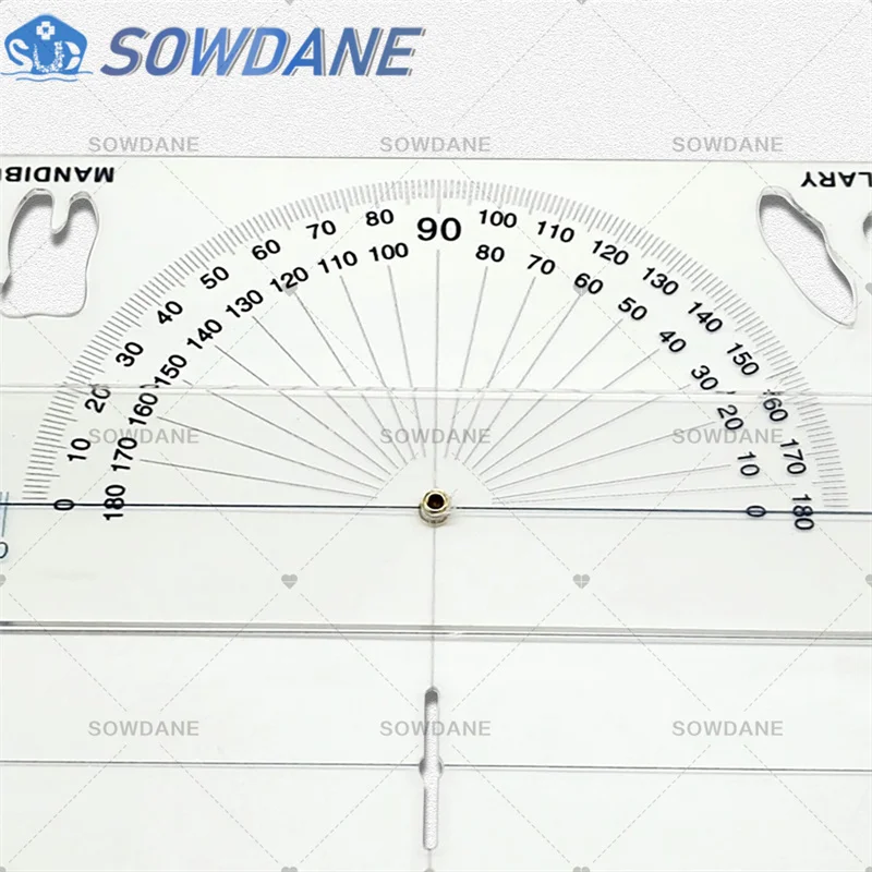 New Dental Guide Plate Dental Cephalometric Ruler X-ray Protractor Measuring Ruler