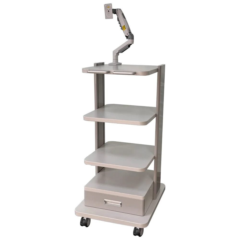 Endoscope cart Computer mobile bracket Multi-layer metal cart Oral scanning dental mobile cart