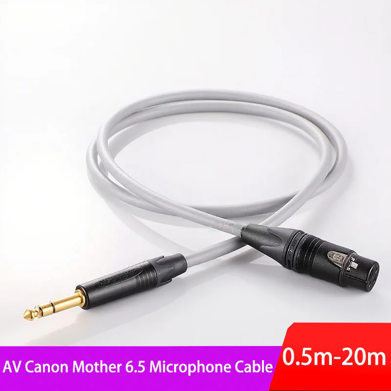 

Professional XLR Female to 6.35mm TRS Balanced Mic Cable | L-4E6S UTP | 22AWG OFC | Studio, Stage, DJ | Low Noise