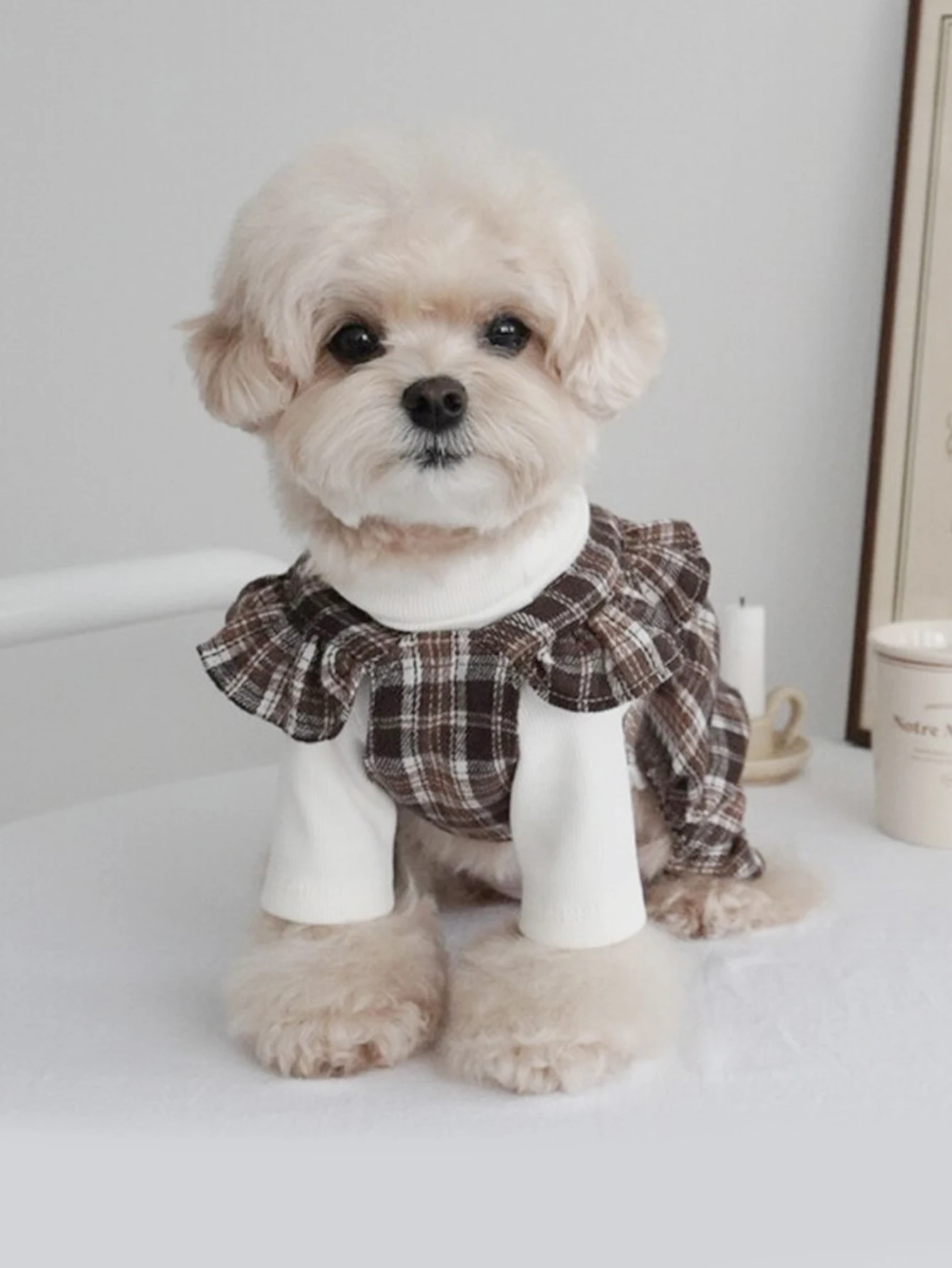 Haustierkleidung, Hundekleider, Prinzessin, Retro, karierter Schleifenrock, Teddy, Bichon, kleine mittelgroße Hundekleidung, Modetrend, dekorative Kleidung – Detail 1