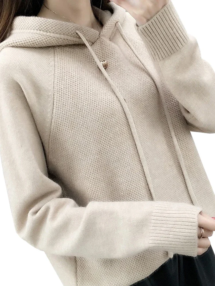 

Hooded Sweater Women Autumn Sweater Sueter Mujer Invierno 2024 New Loose All Match Solid Tops Bottoming Knitwear Pull Femme N593