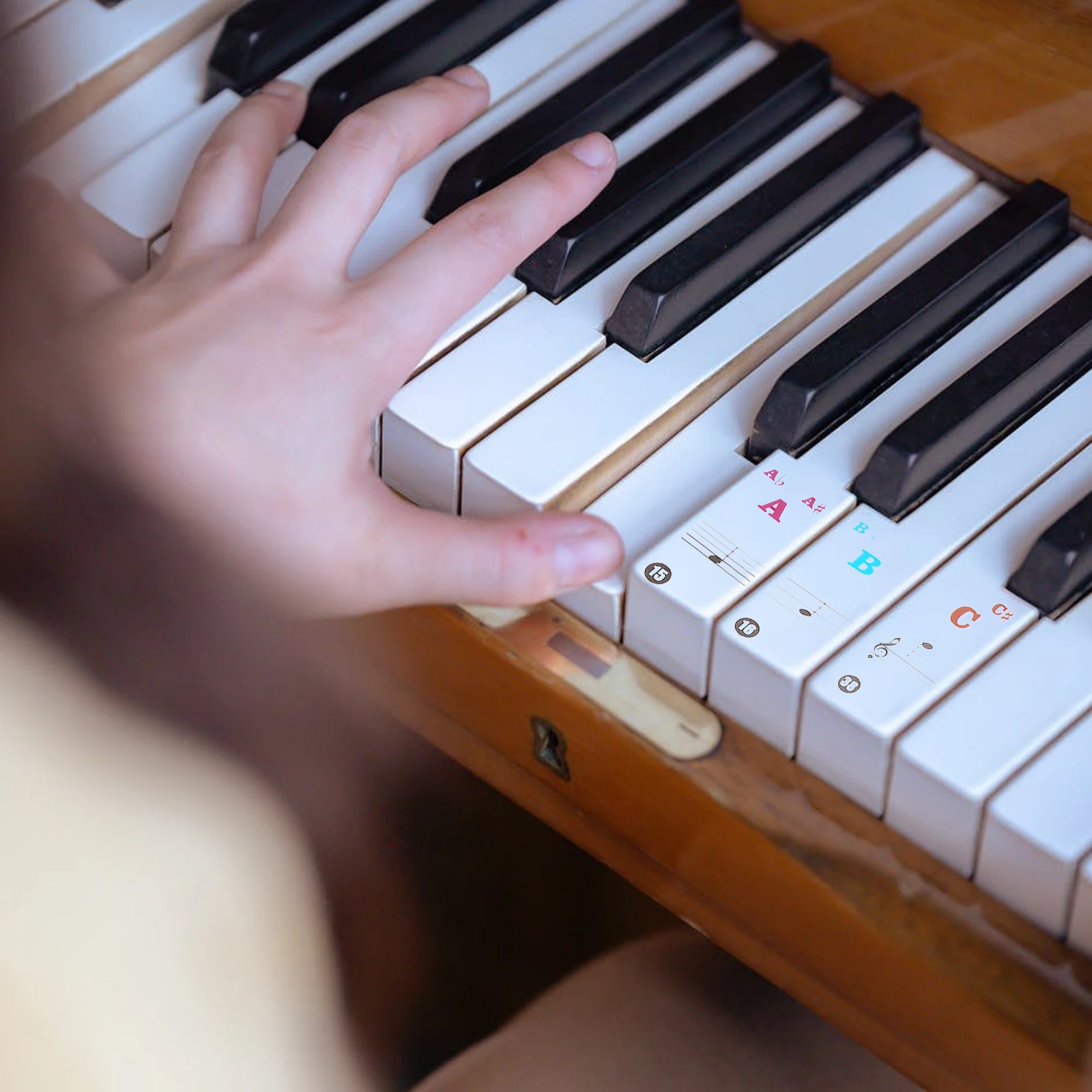 

2 Pcs Hand Roll Piano Keyboard Sticker Stickers Practice Transparent Pvc Beginner Decal