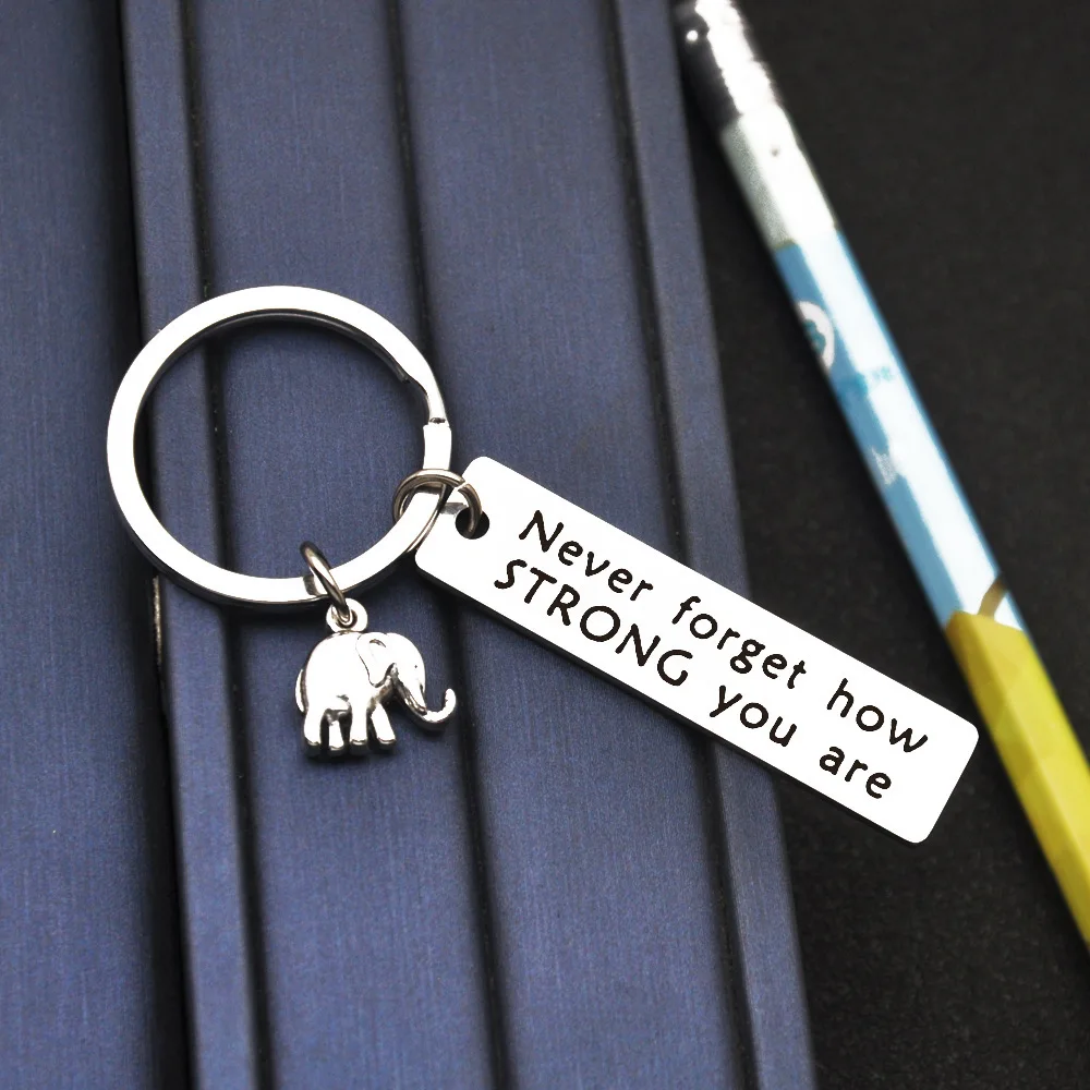 1pc Inspirational Positive Energy Elephant Powdered Elephant Stainless Steel Keychain For Men, Car Backpack Pendant Decoration