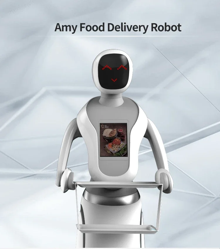 Humanoid Female Robots Intelligent Humanoid Artificial Intelligence Intelligent Lidar Camera Robot