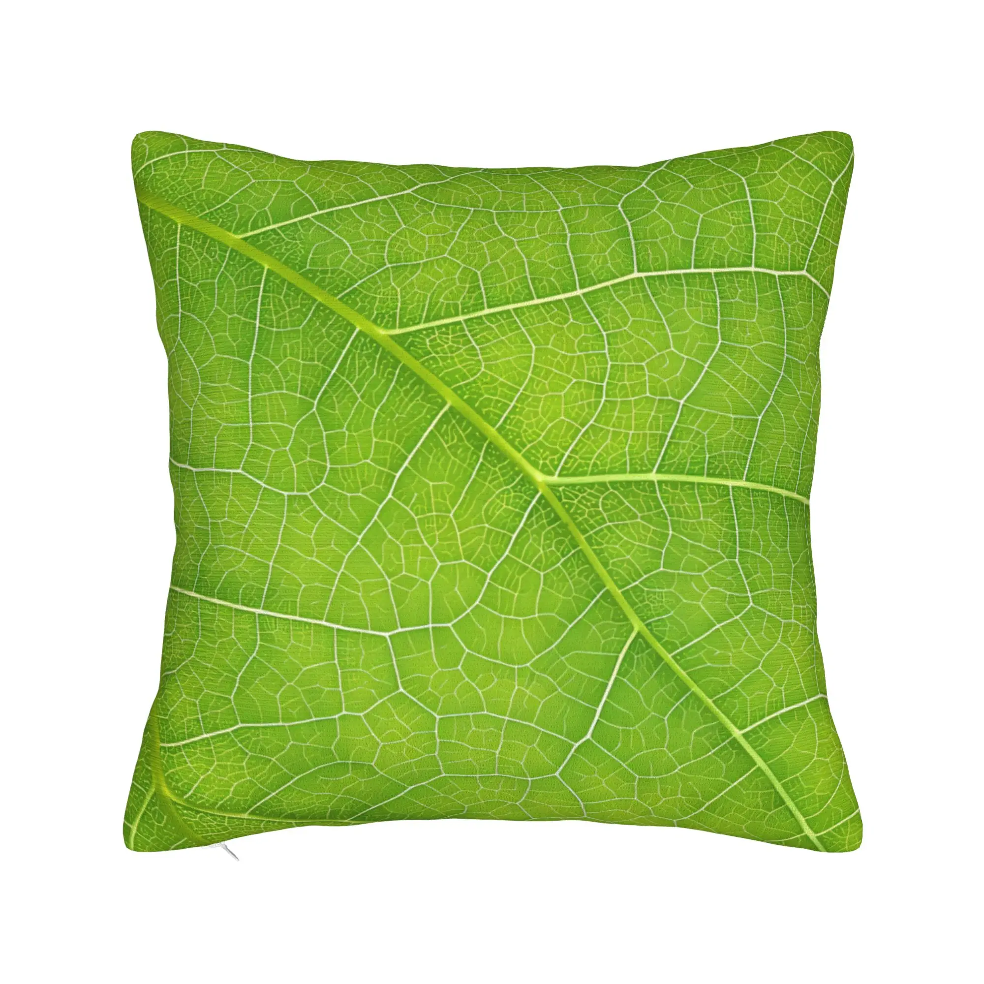Pillow Case Cabbage Pattern Print  Pillow Cover For Couch Sofa Bedroom Fashion Pillowcases