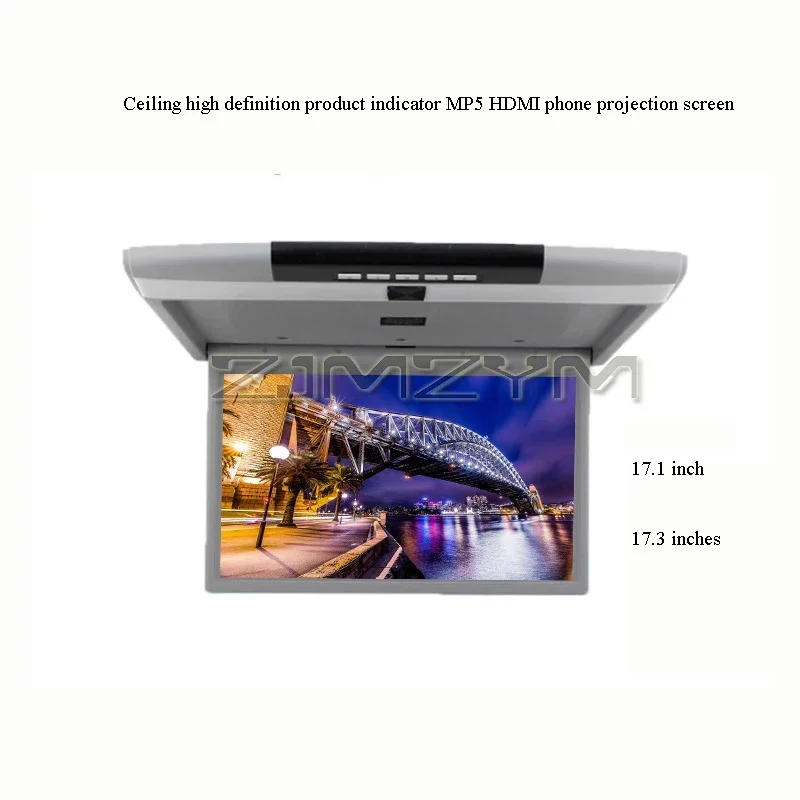 17.3 Inch Car Roof Monitor 1080P HD LCD Screen Automobile Ceiling TV MP5 Multimedia Roof Mount Display Support For USB FM IR