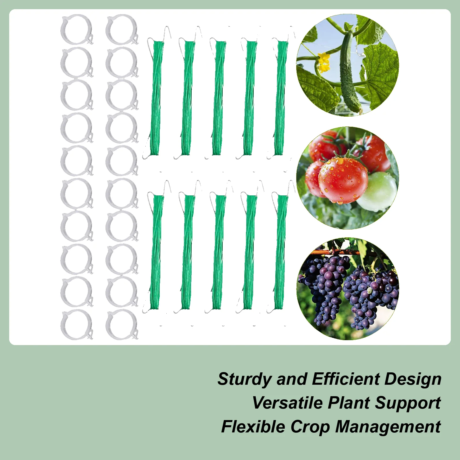 

Tomato Hooks with String Garden Hooks to Support Climbing Plants 40 Pieces Stem Fixing Holder with 40 Clips for Eggplant