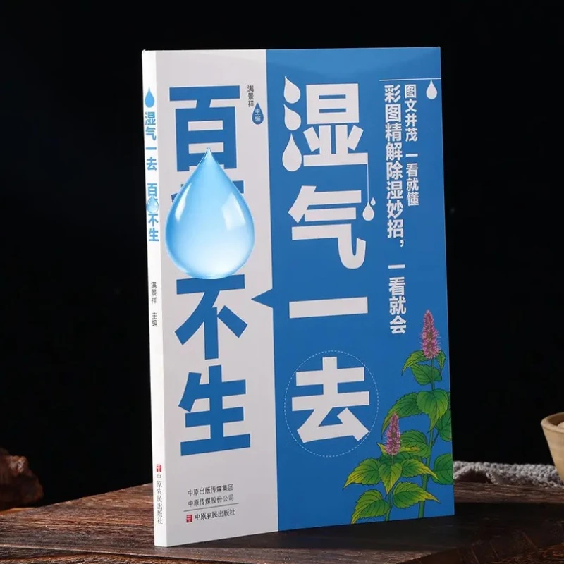 

Once Dampness Is Gone, All Diseases Will Not Arise. Traditional Chinese Medicine Health Books