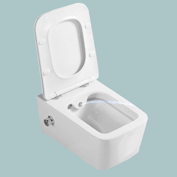 # Bathroom Modern Rimless Ceramic Wc Bidet Wall Hung Toilet Bidet Toilet