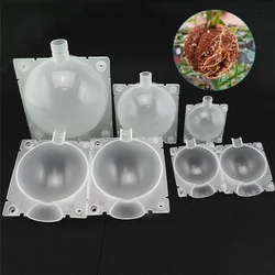 5cm 8cm 12cm Transparent Propagation Tree Plant Rooting Ball Root Grow Box Nursery Pots Graft Breeding Branch Case K5