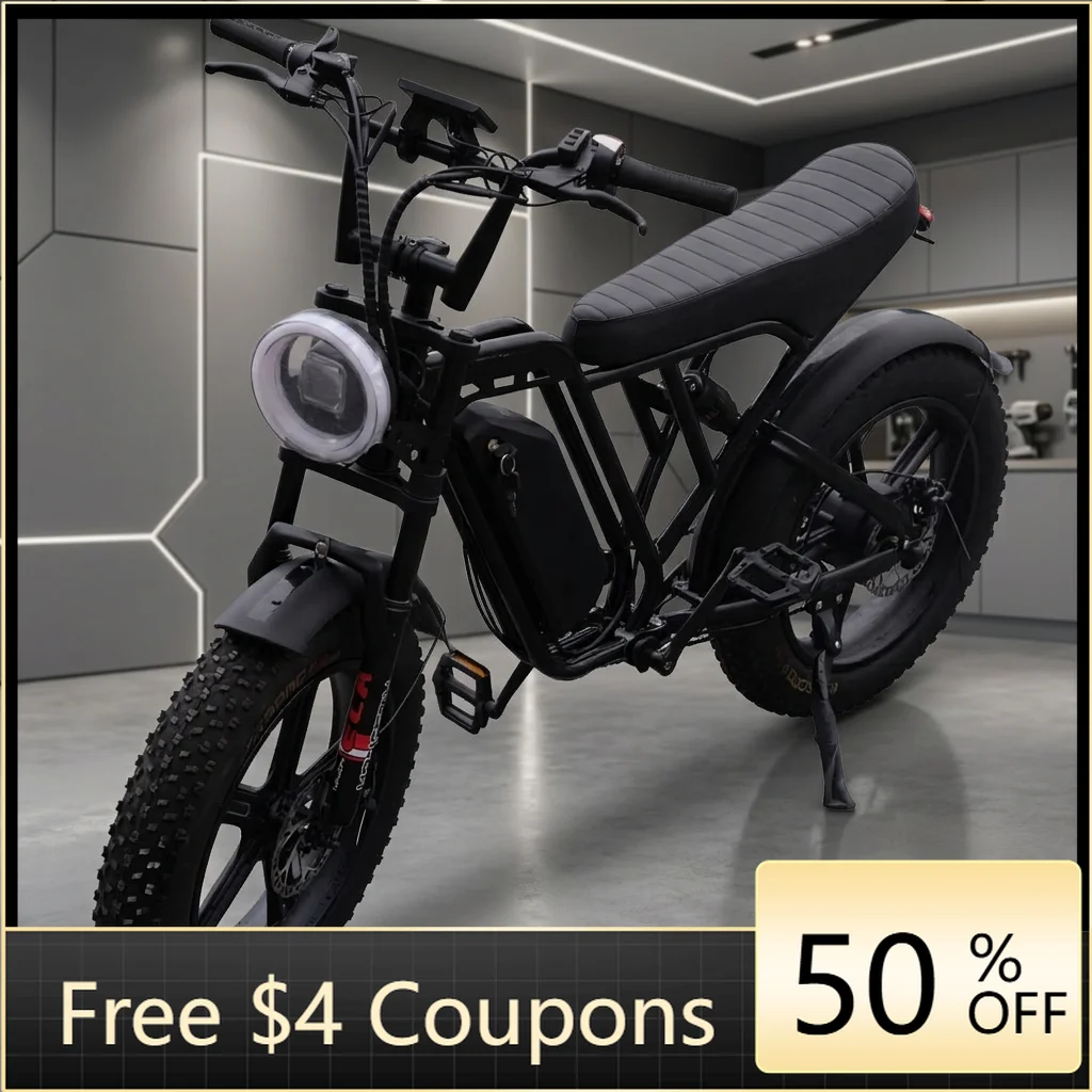 WB  20-Inch off-road snow beach electric power bicycle long-distance lithium battery rear wheel electric bicycle wholesale suppl