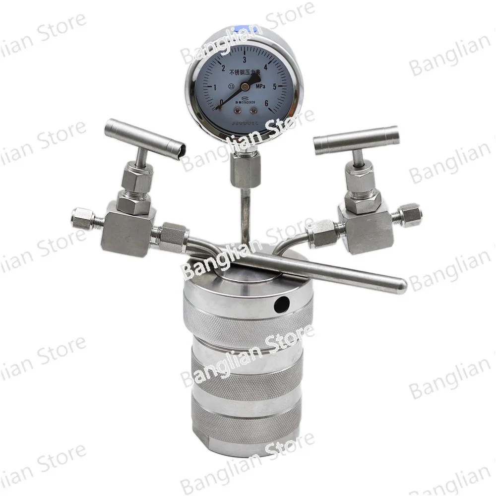 Hydrothermal Synthesis Autoclave Reactor Vessel, inlet Outlet Gauge, 100ml, 6Mpa