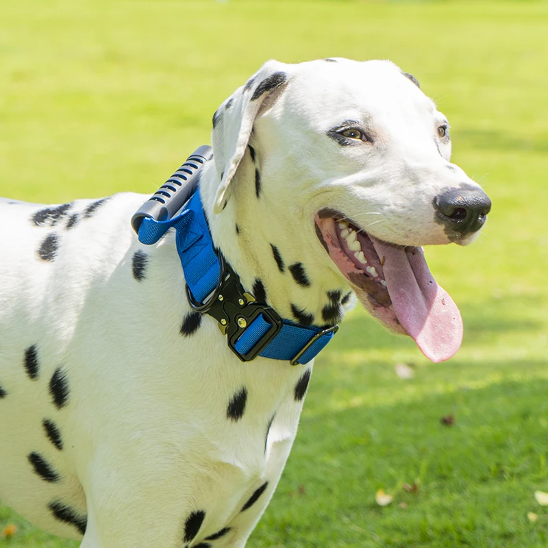 Taktisches Hundehalsband für mittelgroße und große Hunde, robuste Hundehalsbänder mit Griff, Hundetrainingshalsband mit Metallschnalle, dickes Militär – Detail 7