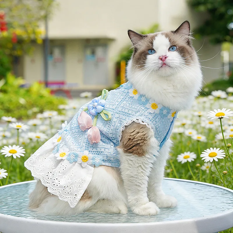 Vestido de verano para perros – Encaje margaritas Chihuahua Bichón - imagen 3
