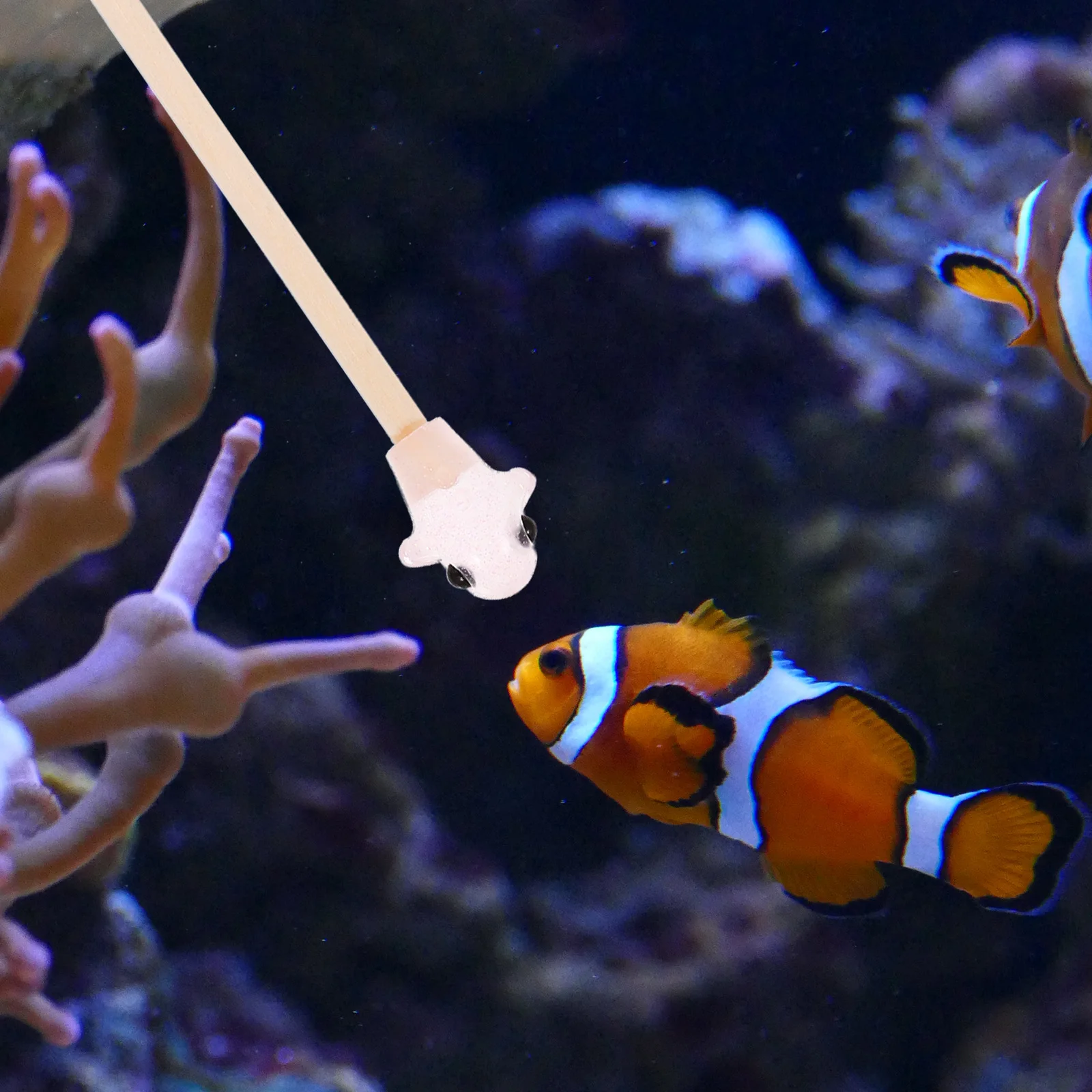 Tongkat Latihan Ikan Cupang Kayu Untuk Latihan Interaktif Dekorasi Akuarium Tongkat Aktivitas Mainan Ikan Akuarium