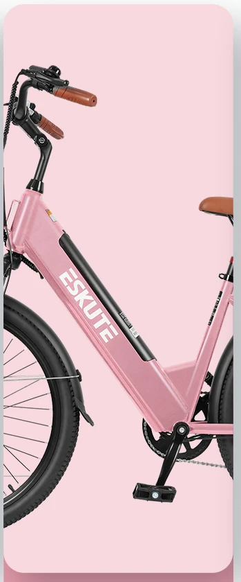 Eskute C100 Plus Elektrische Fiets 250W 36V 13Ah 26*2.1" Laag instapmodel Lichtgewicht Stijlvolle Kleur Stadsfiets Mechanische Schijfremmen 7-versnellingen 25km/u
