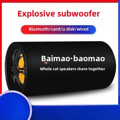 Samochodowy system audio 12 V Subwoofer dużej mocy Bluetooth z mikrofonem Głośnik tunelowy z kartą USB