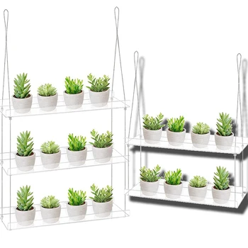 Estantes acrílicos transparentes para plantas suculentas, tulipán, ventana para sala de estar, soporte de flores para jardín montado en la pared, estantes para balcón para plantas
